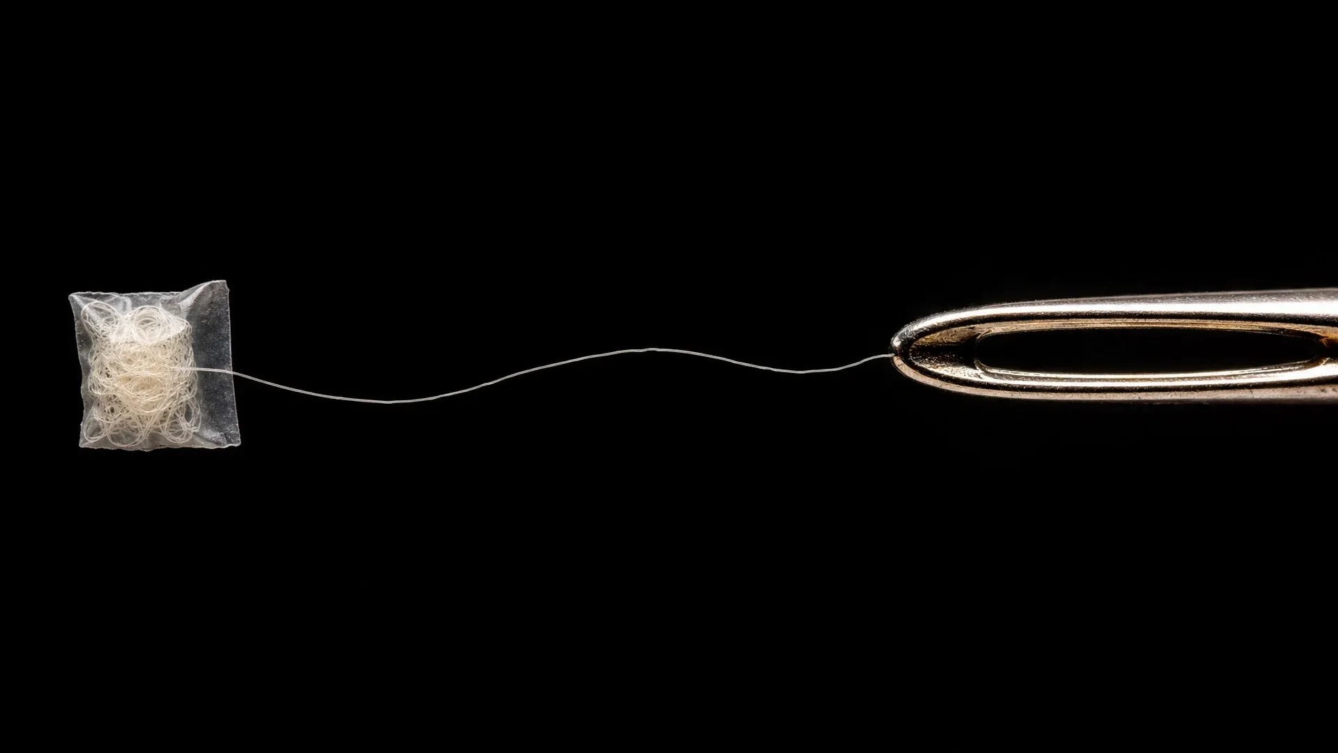 A long pale protein thread extends from a tiny tangled coil beside the eye of a large needle.