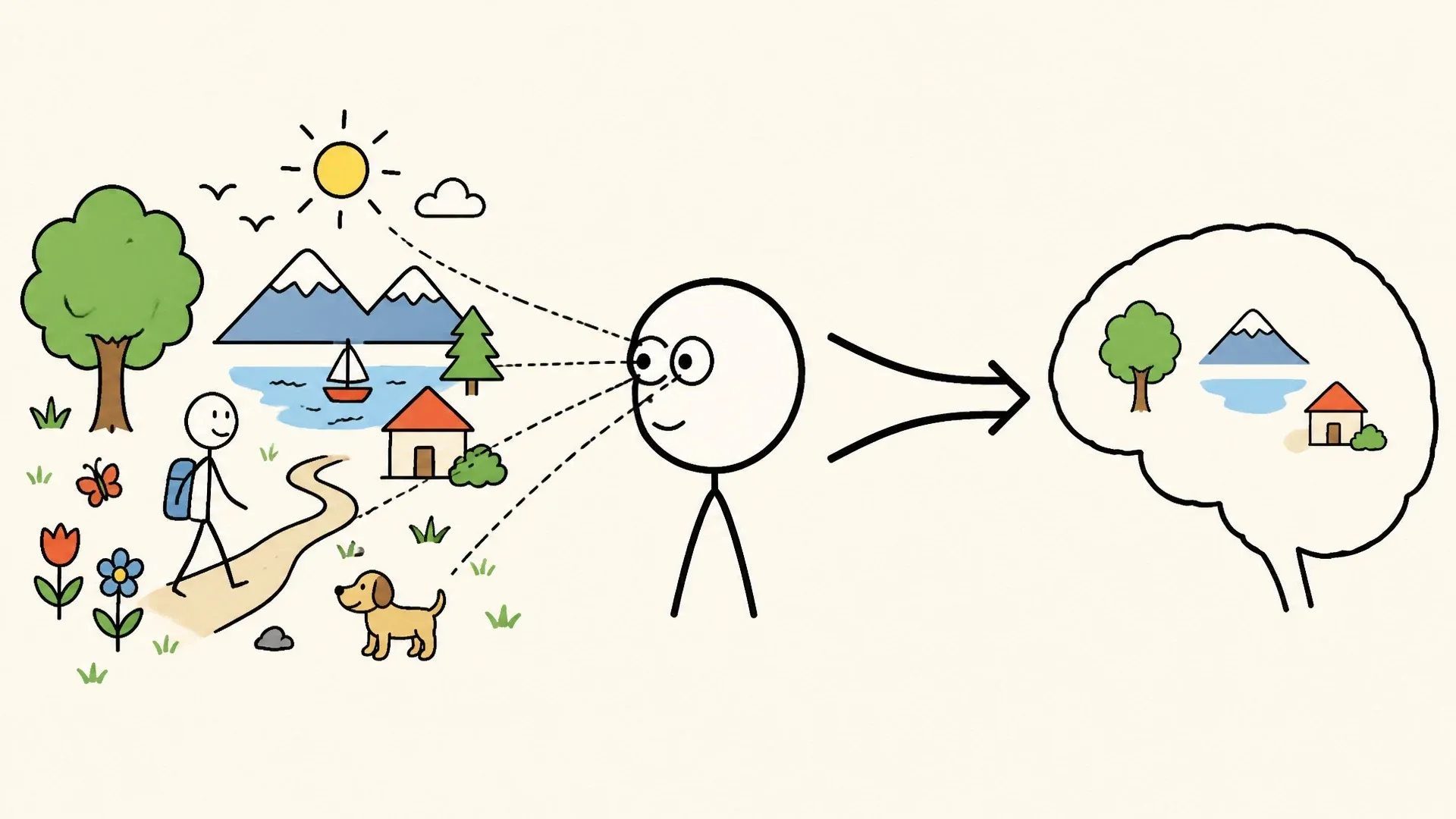 A complete outdoor scene entering the eye, then becoming a simplified internal view with selected details.